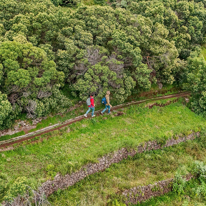 Caminhadas