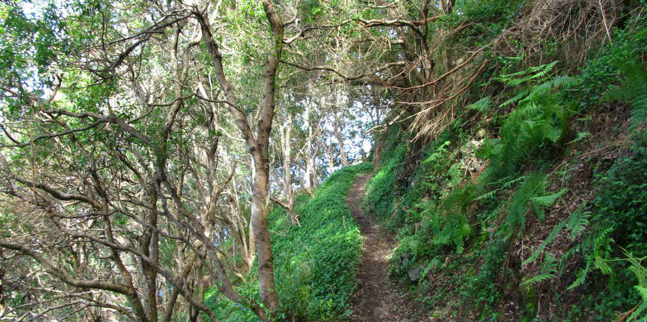 Visit_Machico